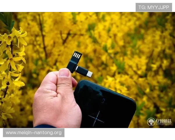 斗球直播app下载评价：多设备同步使用体验与兼容性评价