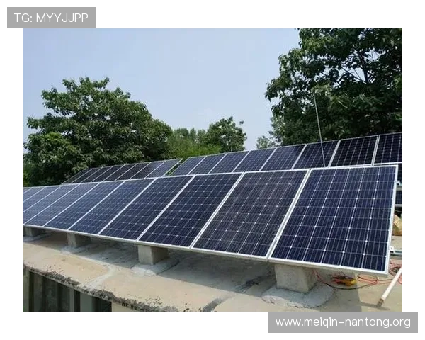 苹果平台斗球app官方正版下载推荐，正版保障让你无后顾之忧